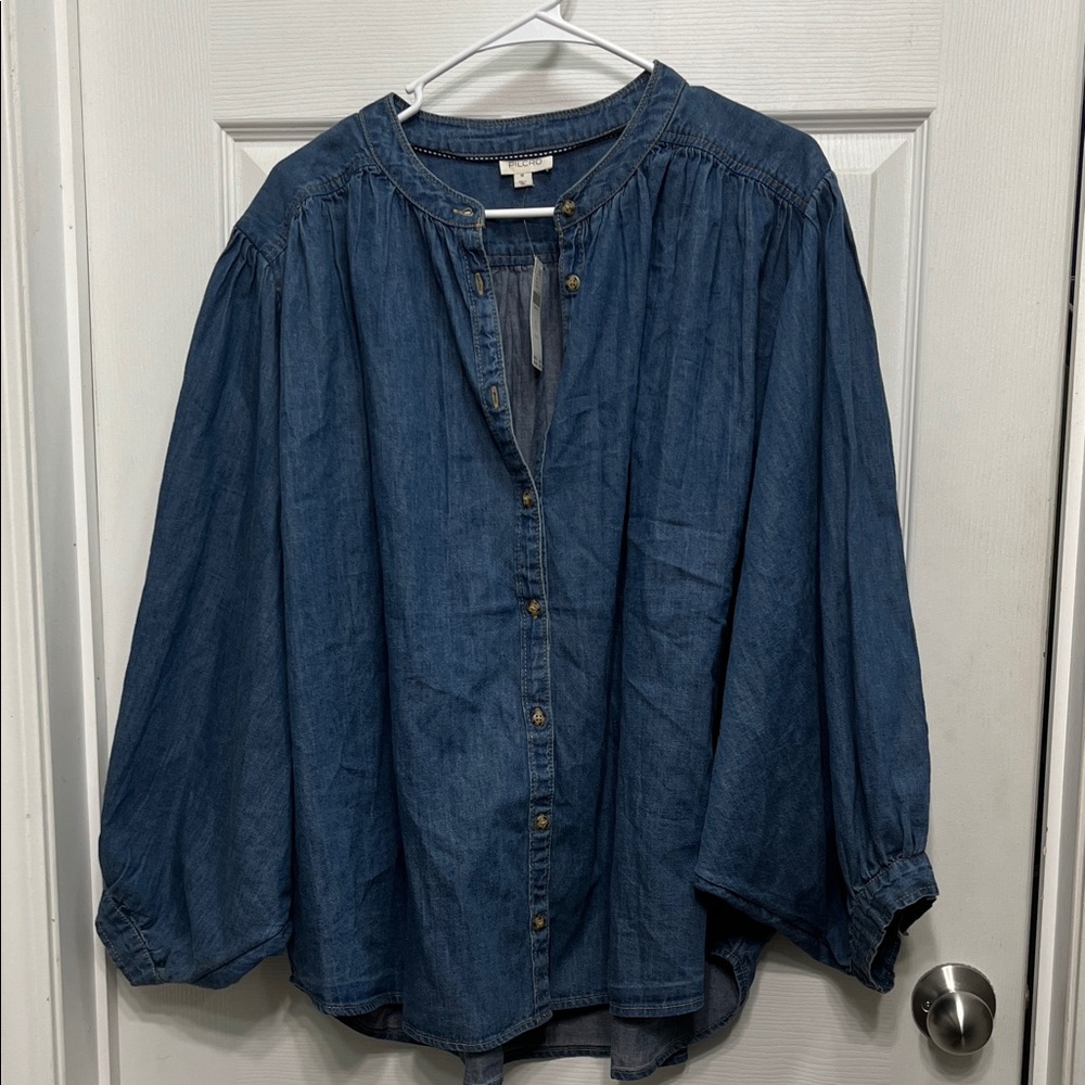 Pilcro •Anthropologie plus• 
Blue Button Down top
